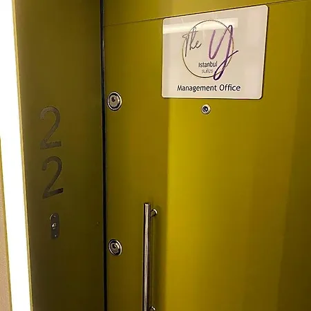 The Y
