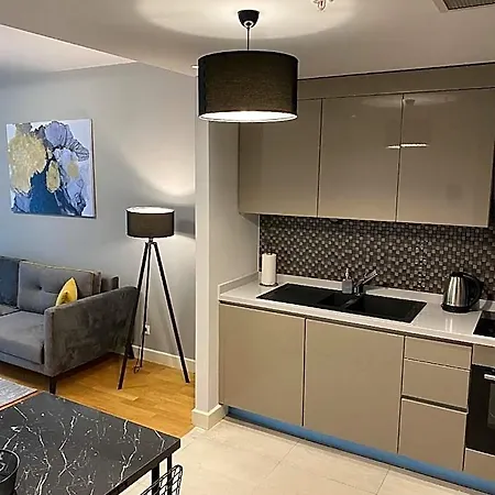 Apartament The Y *